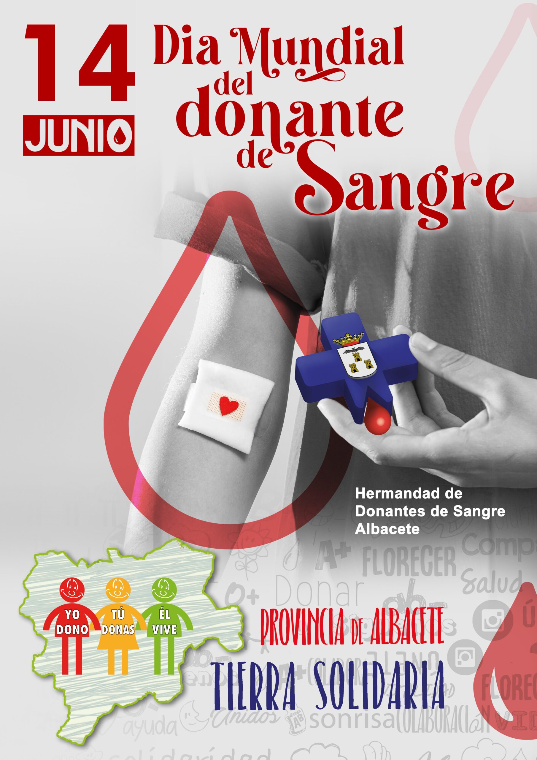 dia mundial donantes de sangre
