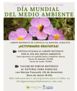 dia mundial del mediio ambiente