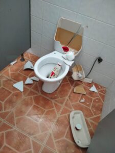 vandalismo baños fiesta del arbol