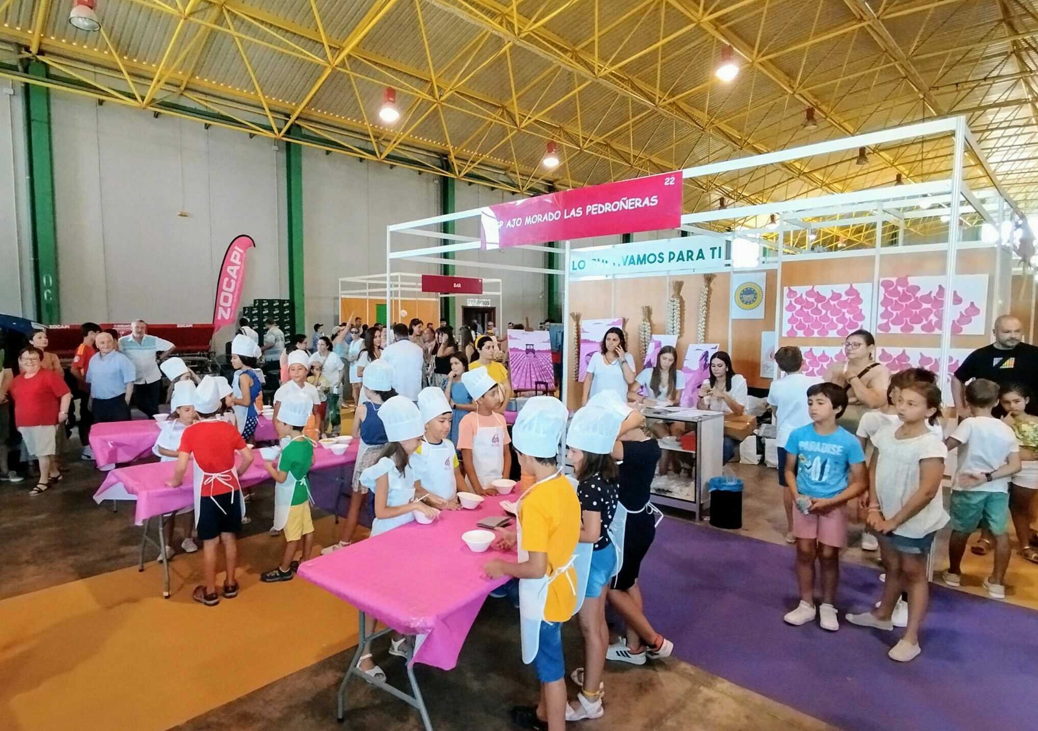 Master-Ajo-Junior-2024-