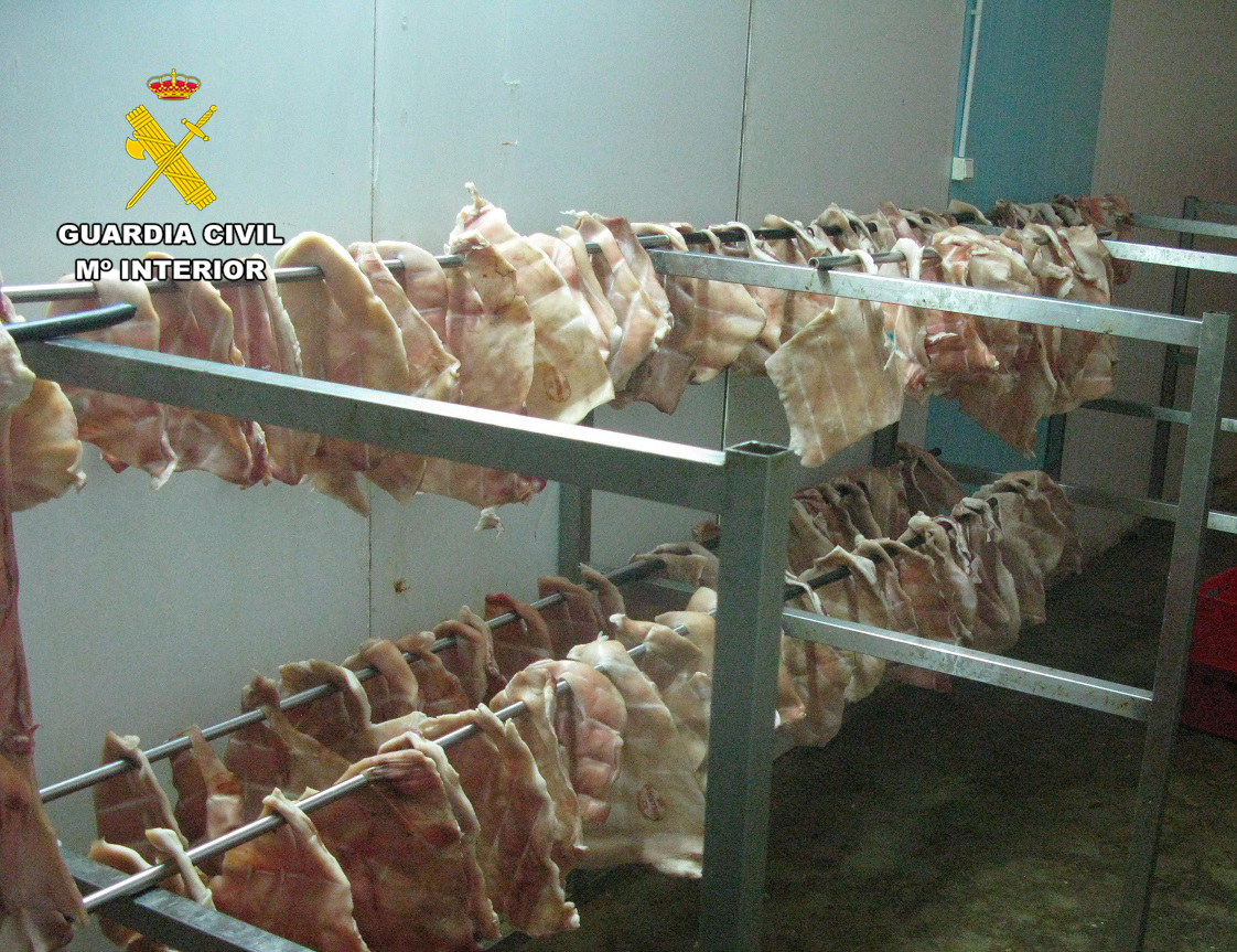 carniceria ilegal en hellin guardia civil