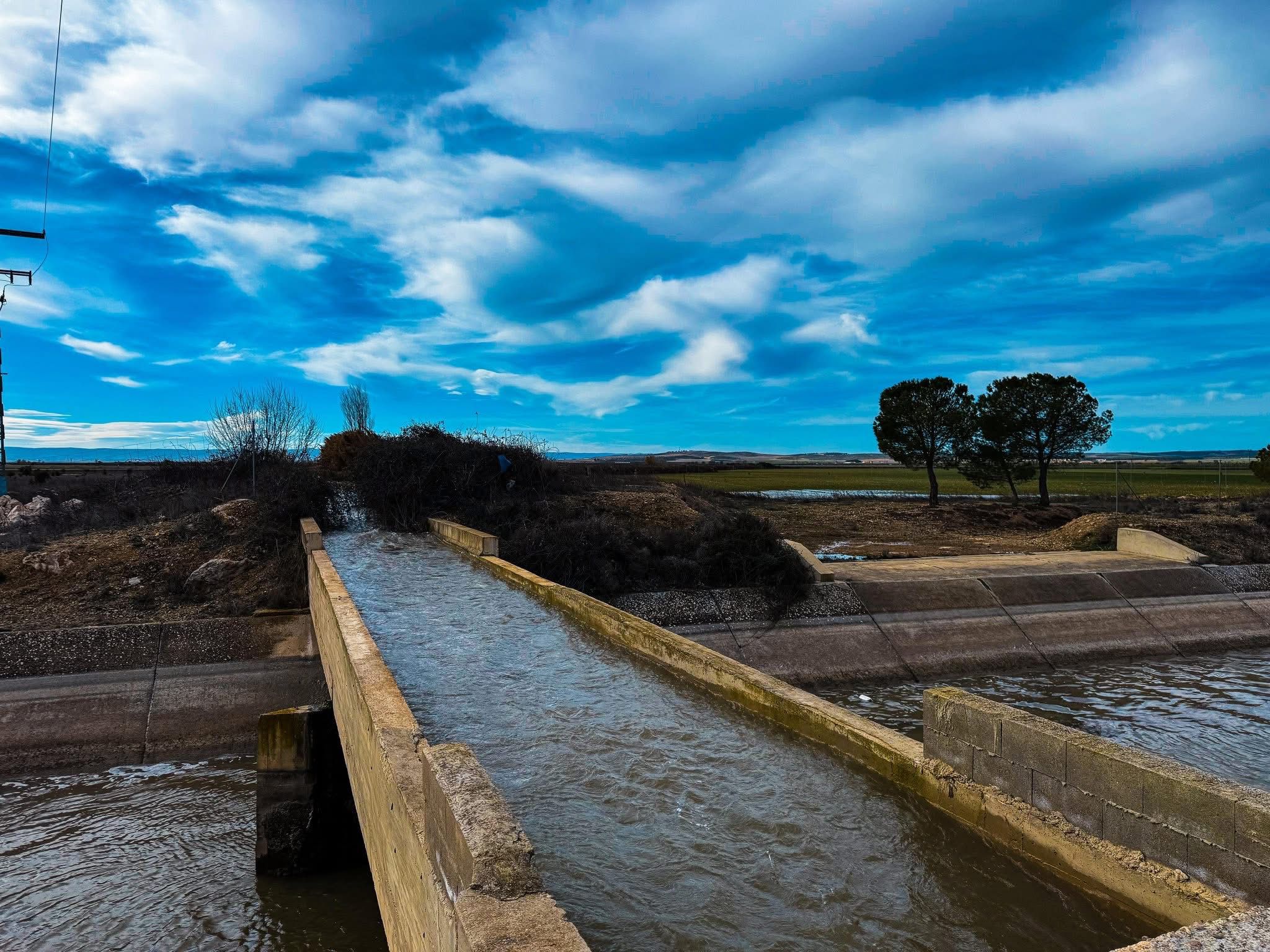 Foto.Visita cauce río Jardín (3)