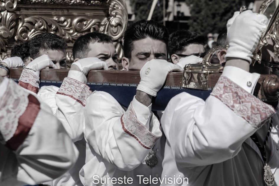 semana santa domingo de ramos