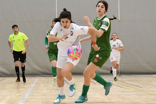 albacete futbol sala globalcaja