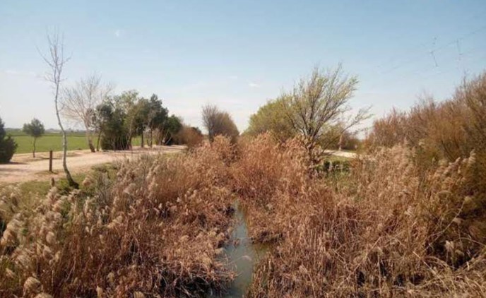 canal maris cristina