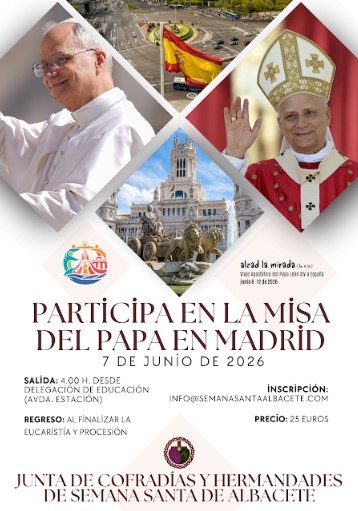 viaje papa madrid