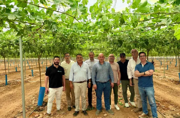 Visita del viceconsejero José Manuel Martín Aparicio a los regadíos de Hellín en la SAT Cancarix