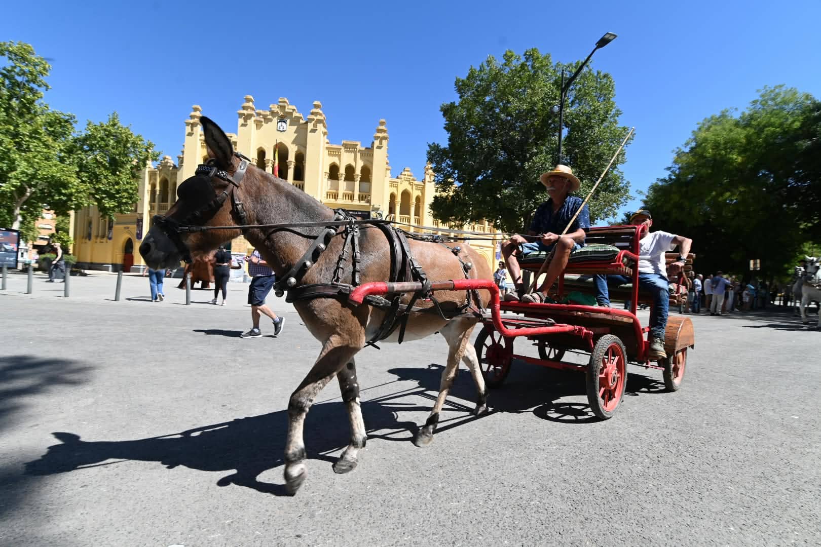paso de los enganches y caballistas en la Cabalgata Ecuestre de Albacete.