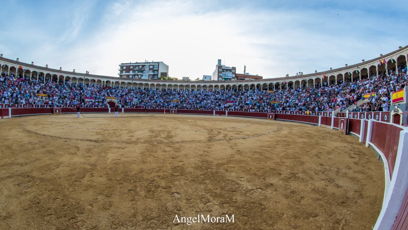 plaza de toros de albacete feria taurina
