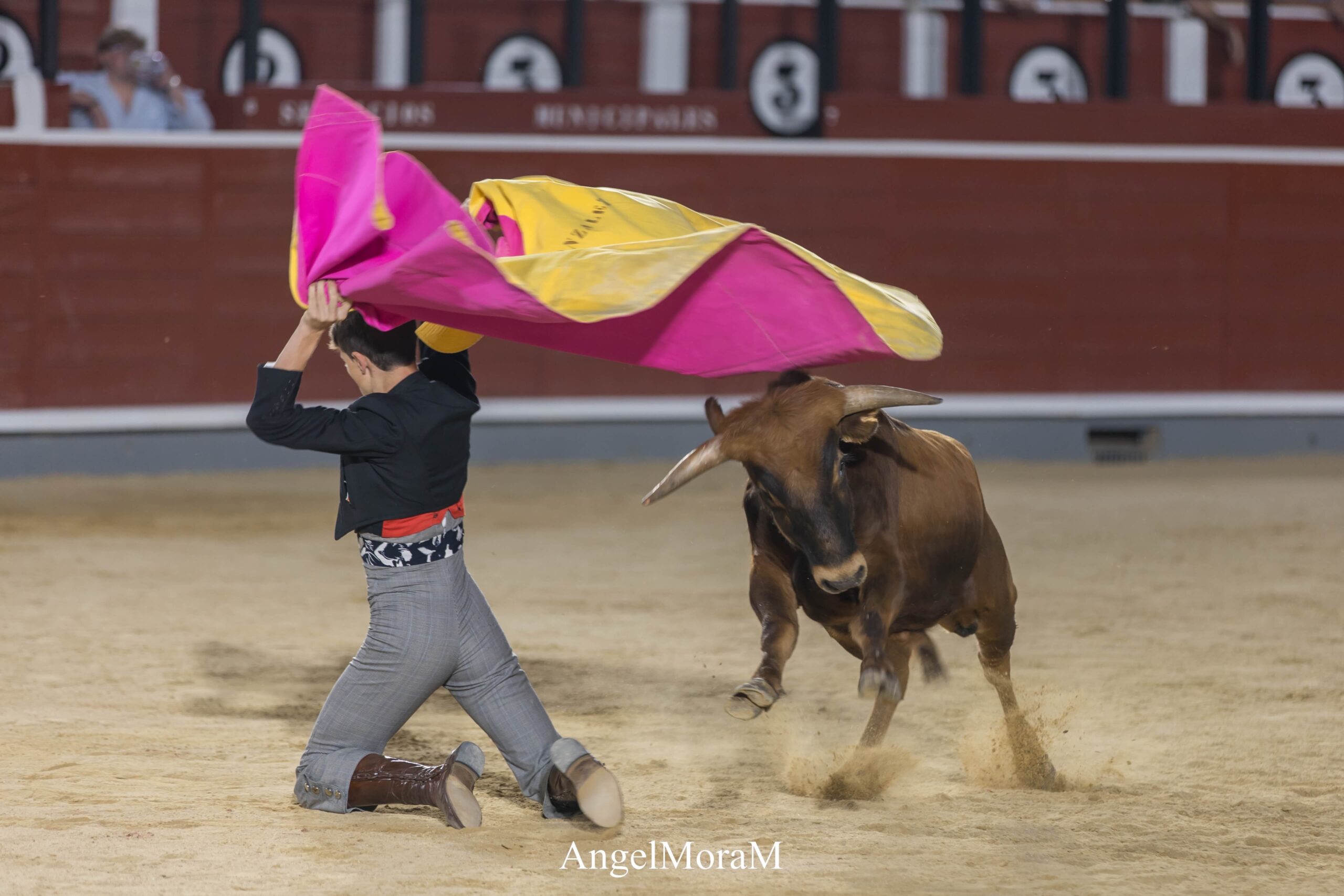 novilleros de la Escuela Taurina de Albacete